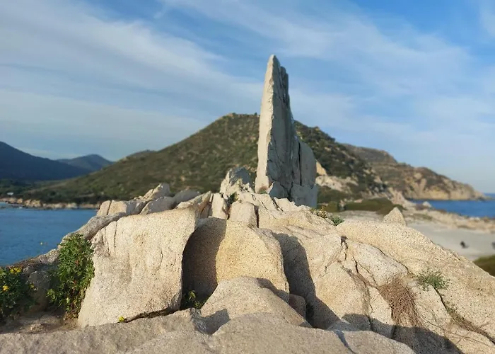 In Апартаменты